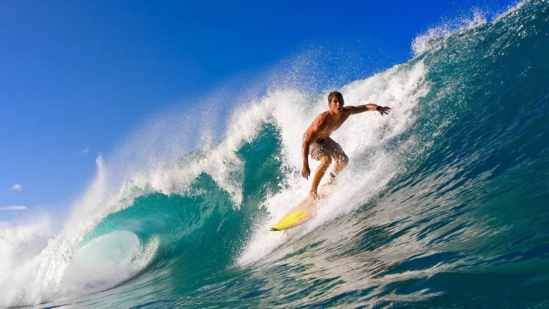 波士顿凯尔特人主帅放话：夏季联赛四强战必胜巴塞罗那，德约科维奇冷笑回应