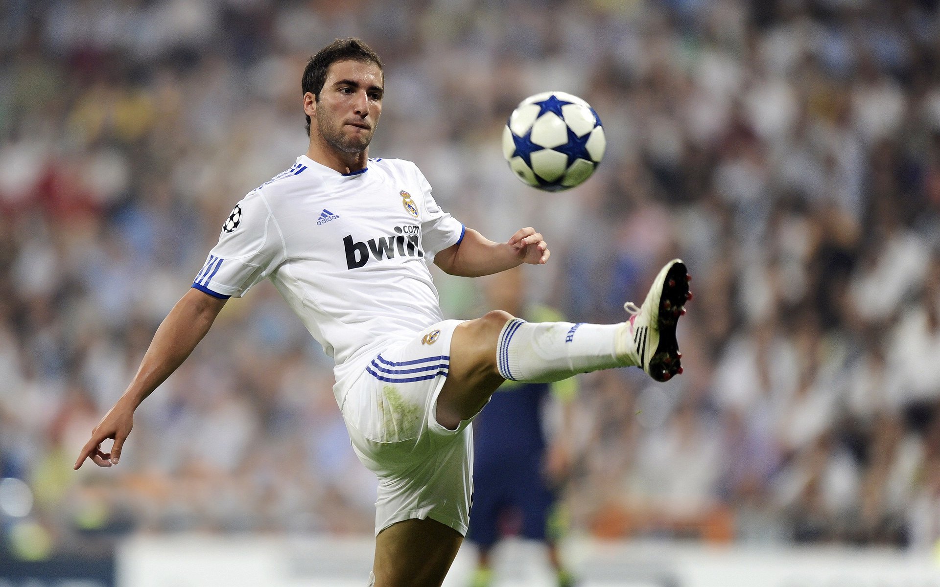 Ming迎来七赛季高光表现，西班牙队球迷沸腾！